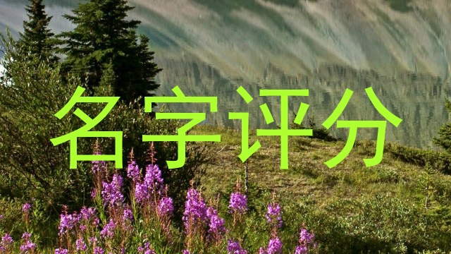 名字评分