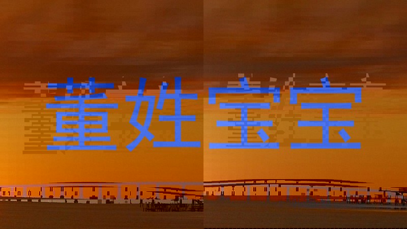 董姓宝宝