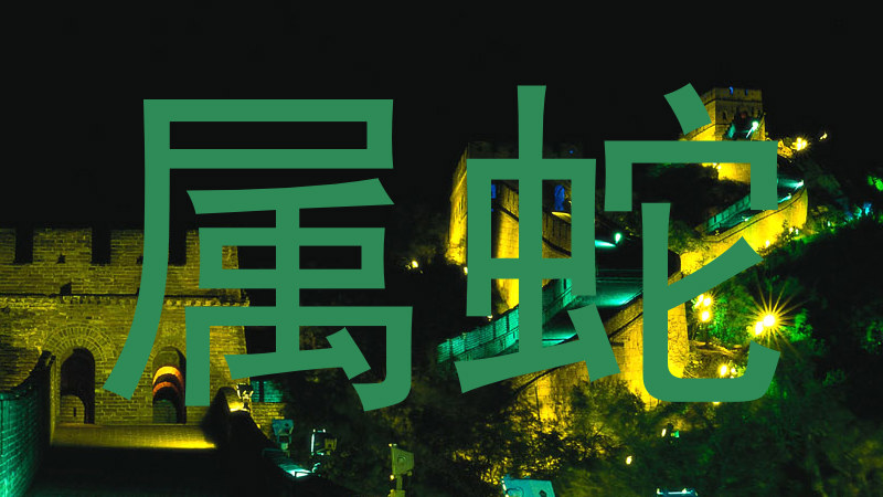 属蛇