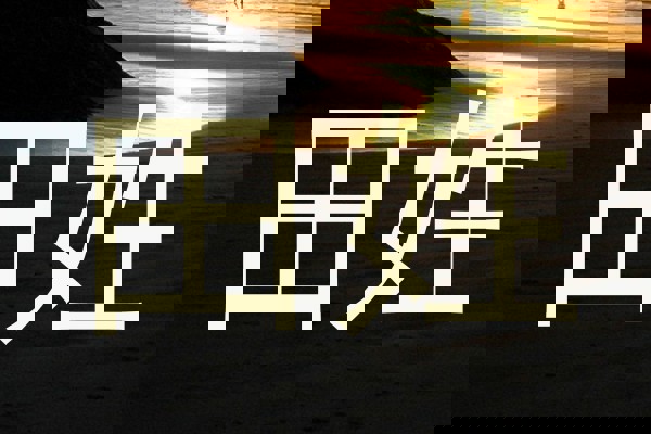田姓