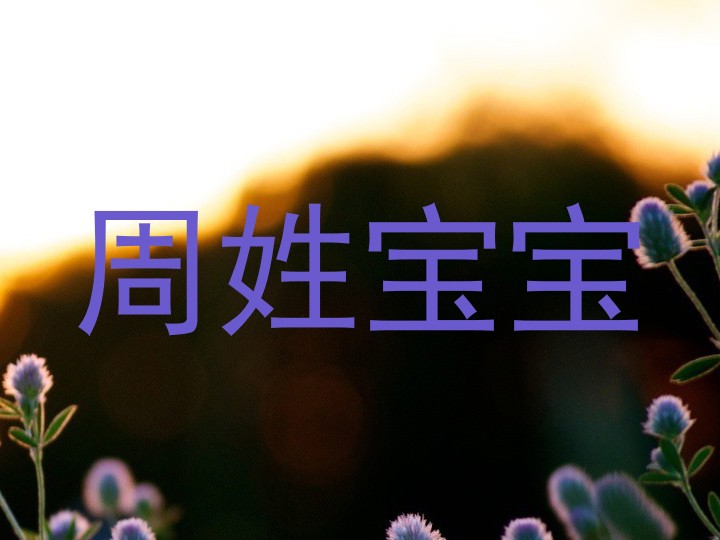周姓宝宝