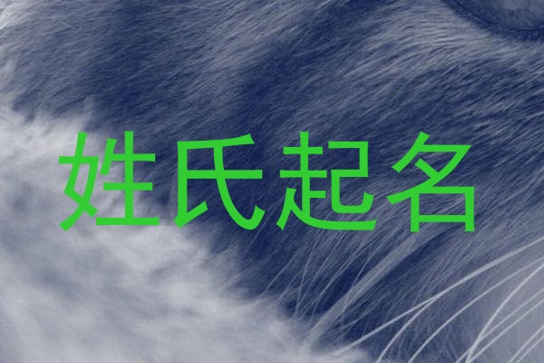 姓氏起名