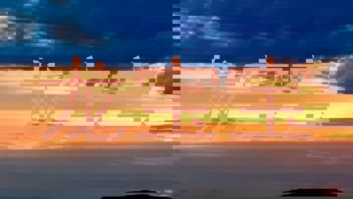 龙宝宝