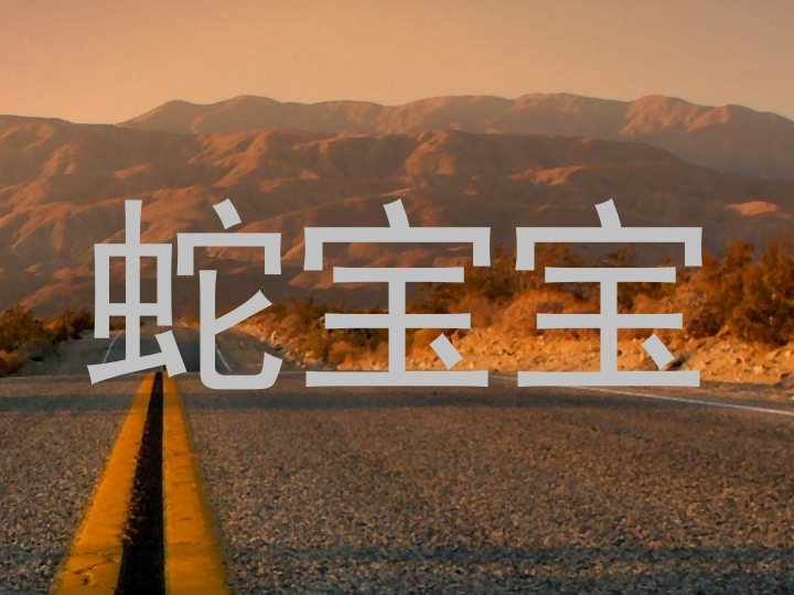 蛇宝宝
