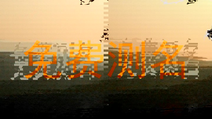免费测名