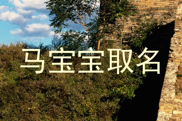 马宝宝取名