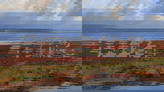 马宝宝起名
