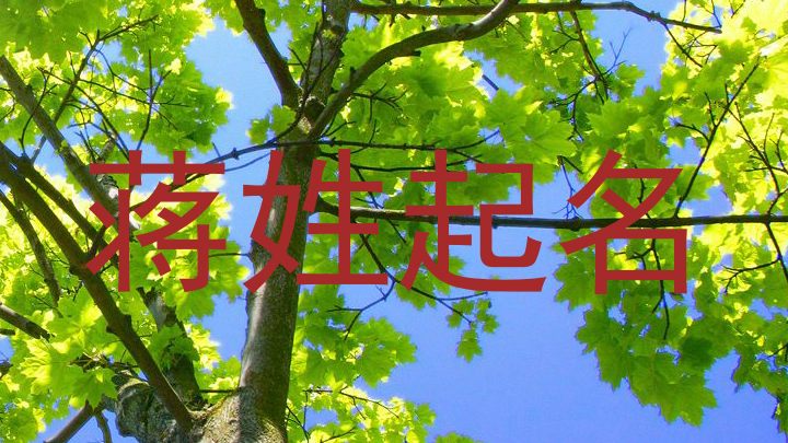 蒋姓起名
