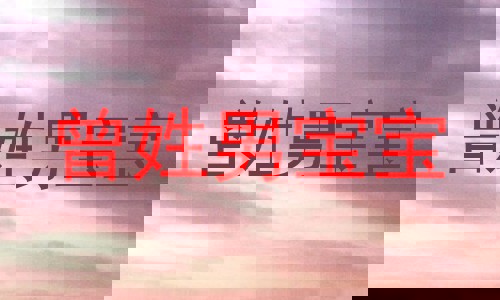 曾姓男宝宝