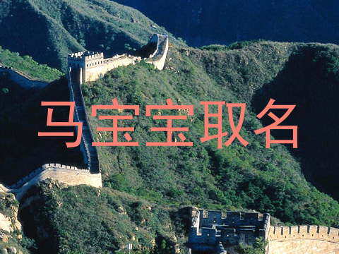 马宝宝取名