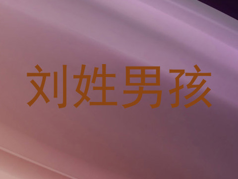 刘姓男孩