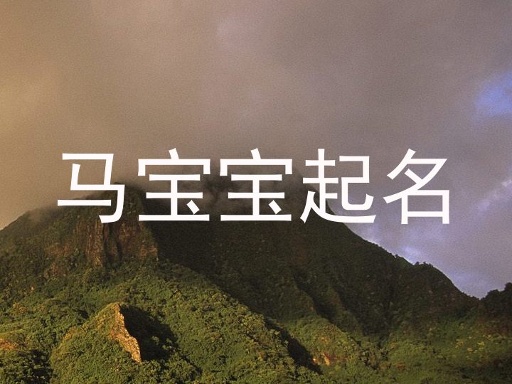 马宝宝起名