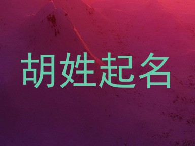 胡姓起名