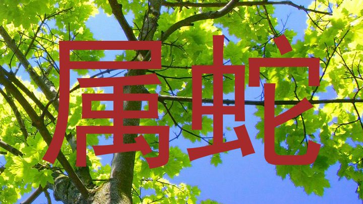 属蛇