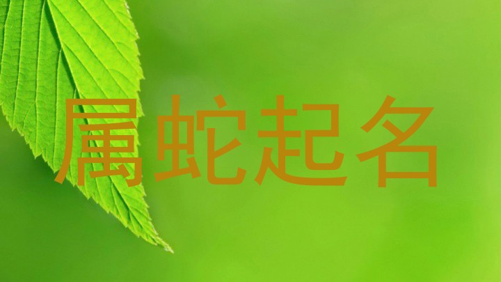 属蛇起名