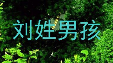刘姓男孩