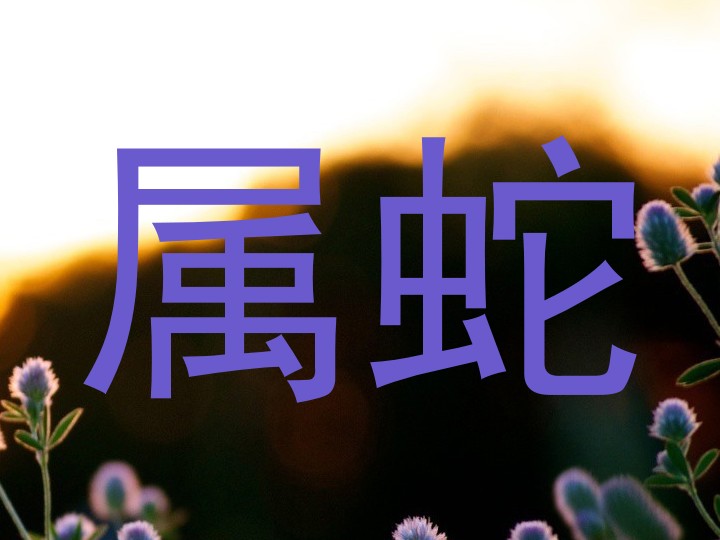 属蛇