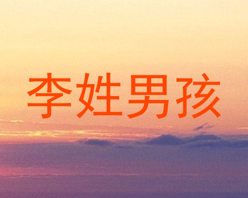 李姓男孩