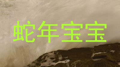 蛇年宝宝