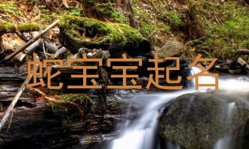 蛇宝宝起名