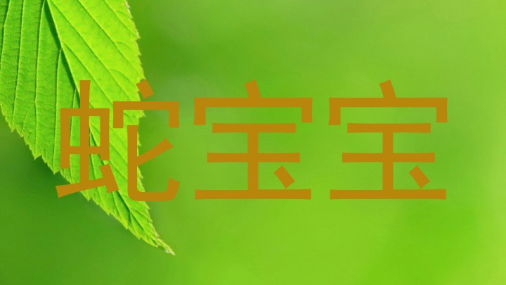 蛇宝宝