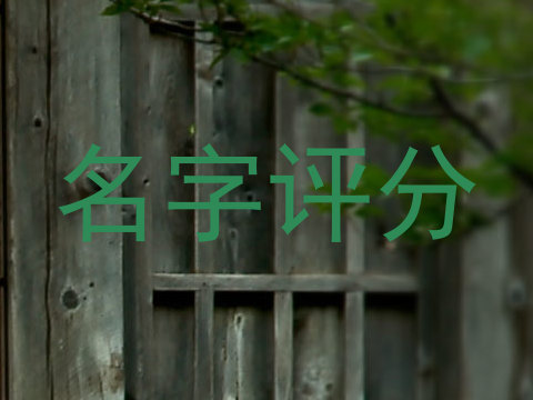 名字评分
