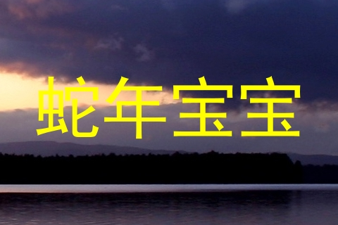 蛇年宝宝