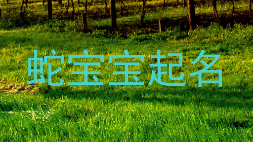 蛇宝宝起名