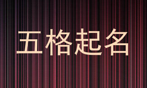 五格起名