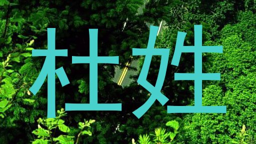 杜姓