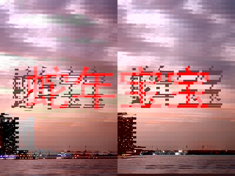 蛇年宝宝