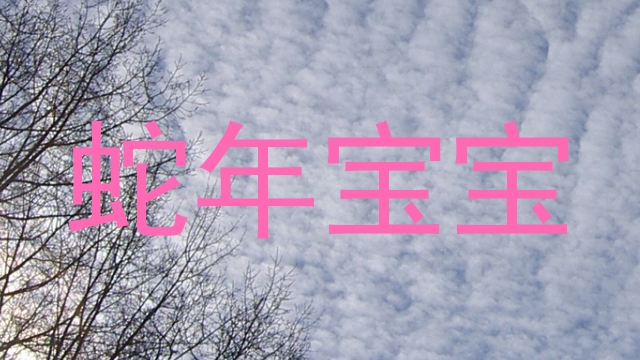 蛇年宝宝