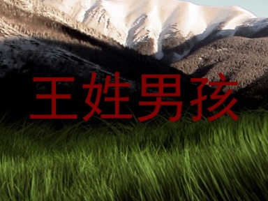王姓男孩