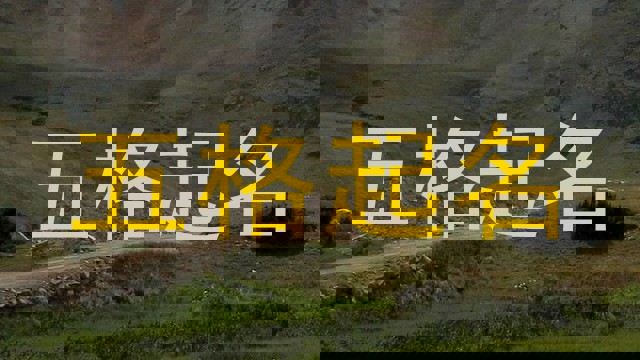 五格起名
