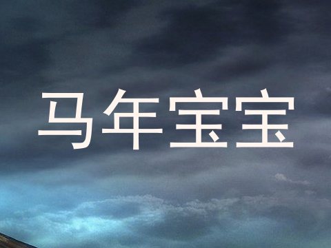马年宝宝