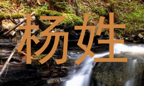 杨姓