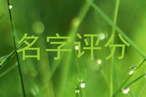 名字评分