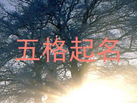 五格起名
