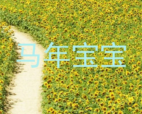 马年宝宝