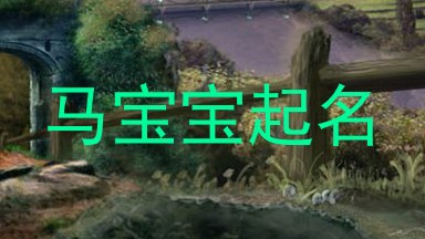 马宝宝起名