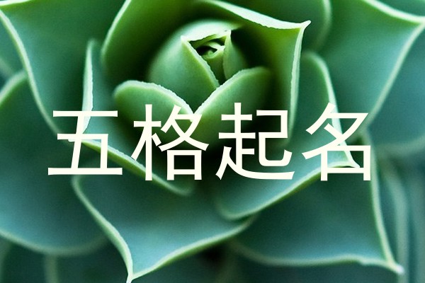 五格起名软件