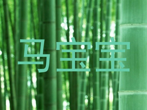 马宝宝