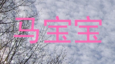 马宝宝