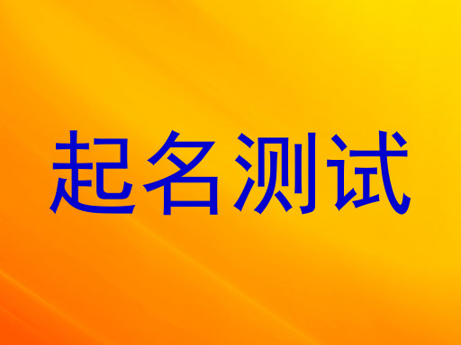 起名测试