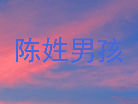 陈姓男孩