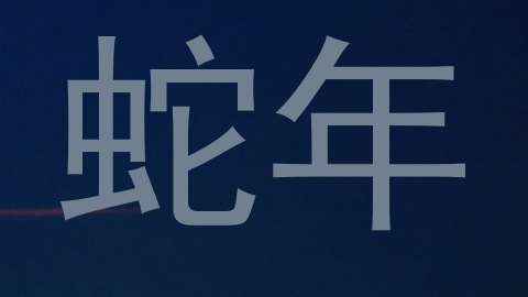 蛇年
