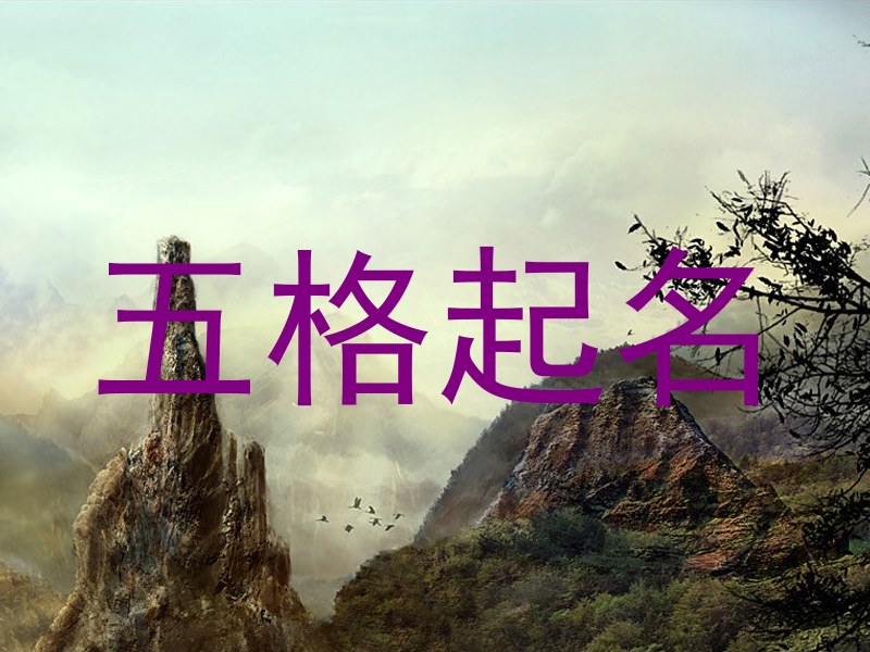 五格起名