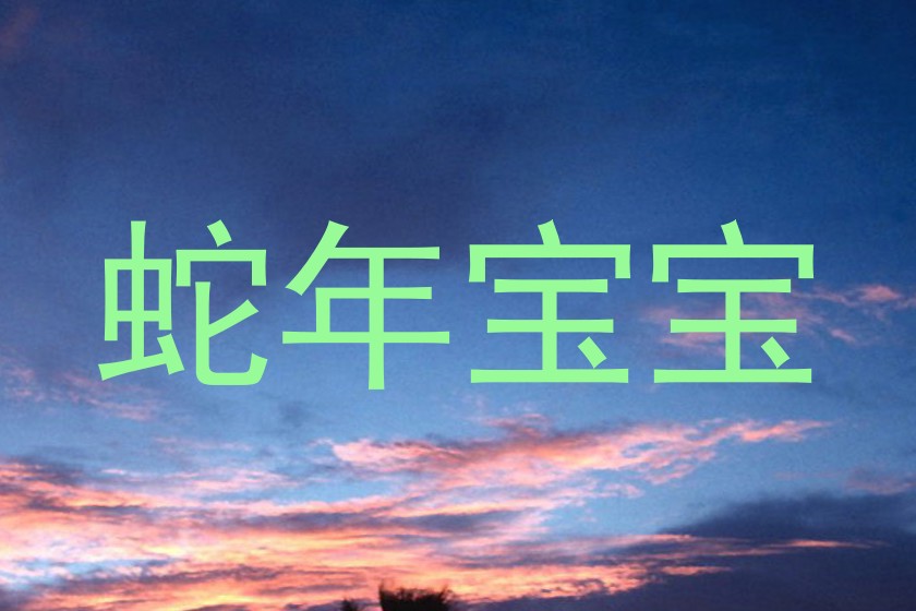 蛇年宝宝