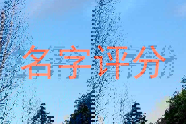 名字评分