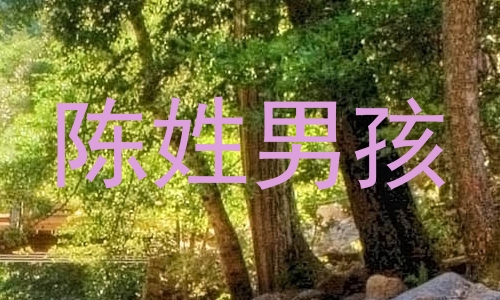 陈姓男孩